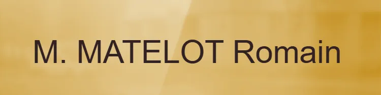 Plaque de boîte aux lettres - en Laiton poli miroir - taille 200x50 mm - Laiton poli miroir • 200x50 mm • Sans fixation