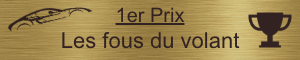Plaque 1er Prix - en Laiton brossé - taille 100x20 mm - Laiton brossé • 100x20 mm • Double-face VHB 3M